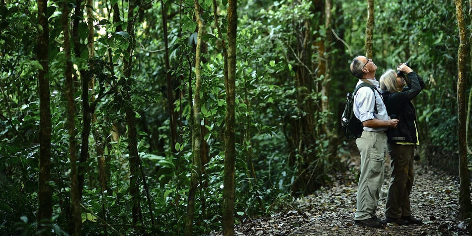 What It’s Like to Tour Monteverde with Ocotea: Guest Stories