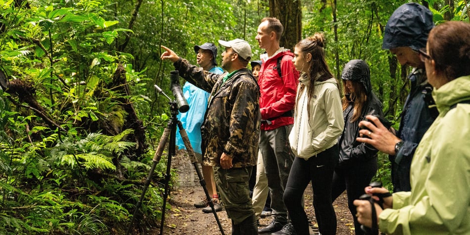 A Local Monteverde Guide's Perspective